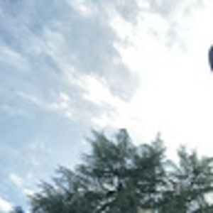 Meet your Posher, Pearl